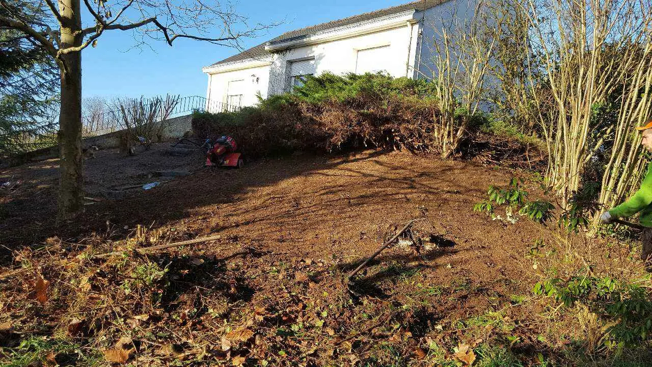 Après - Débroussaillage et nettoyage