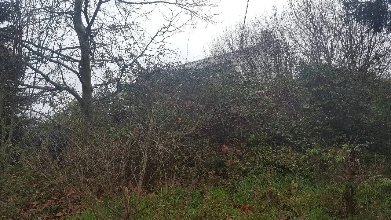 Avant - Débroussaillage et nettoyage