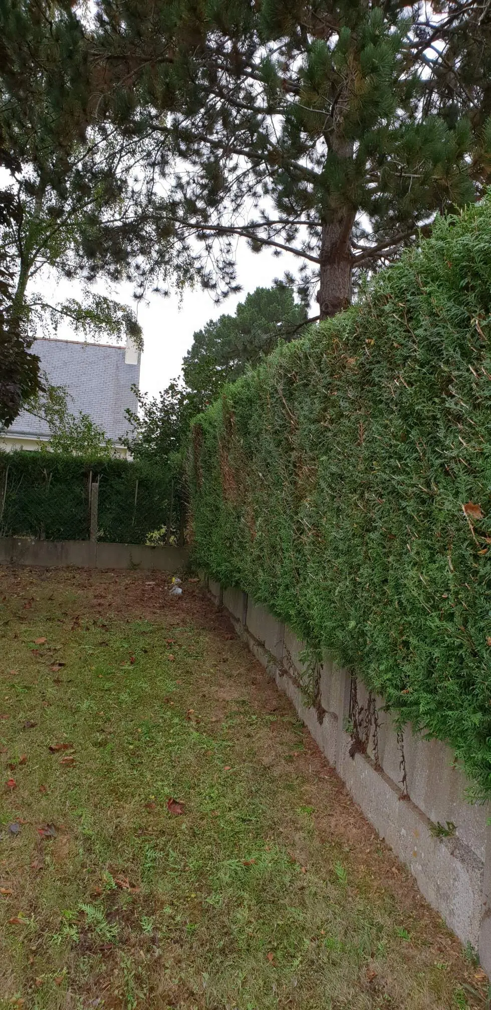 Après - Taille de haies et bordures